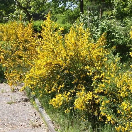 Armarova Ihre Ferienpension كوكسهافن